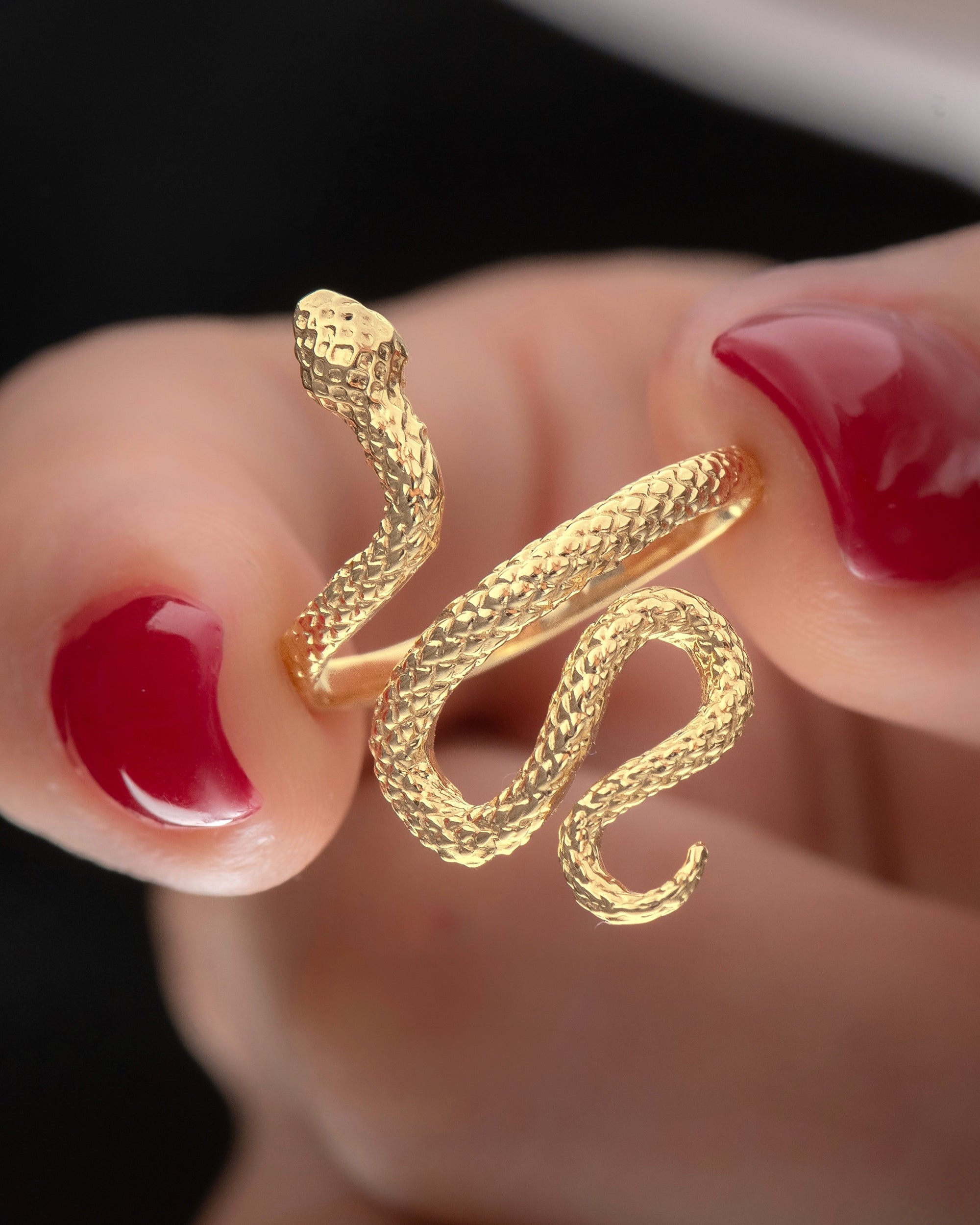 Anillo Serpiente