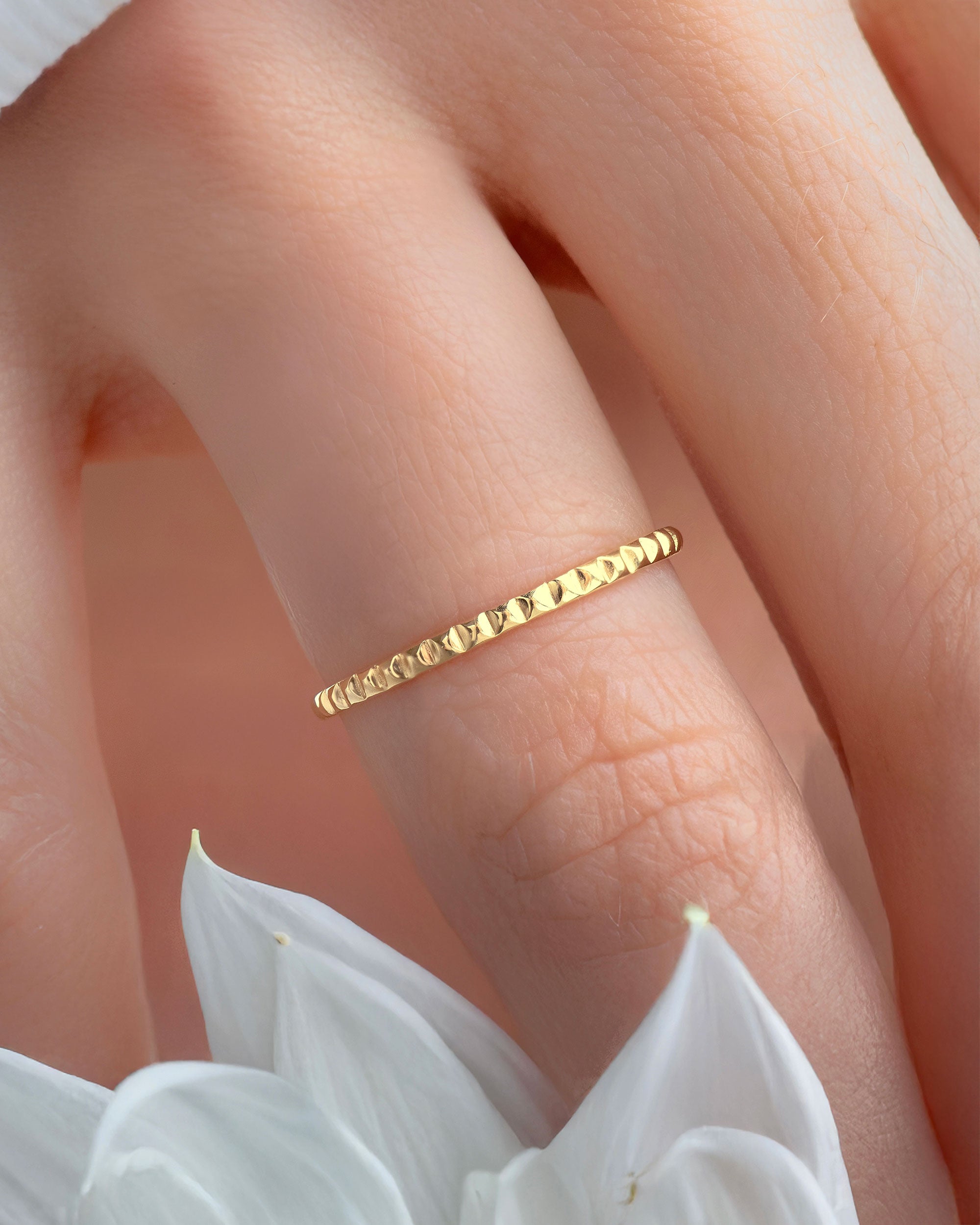 Anillo Ciria