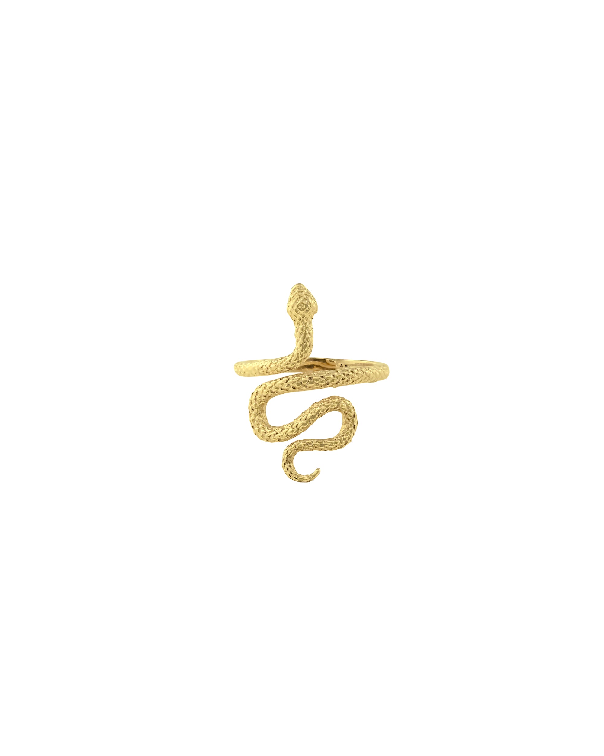 Anillo Serpiente