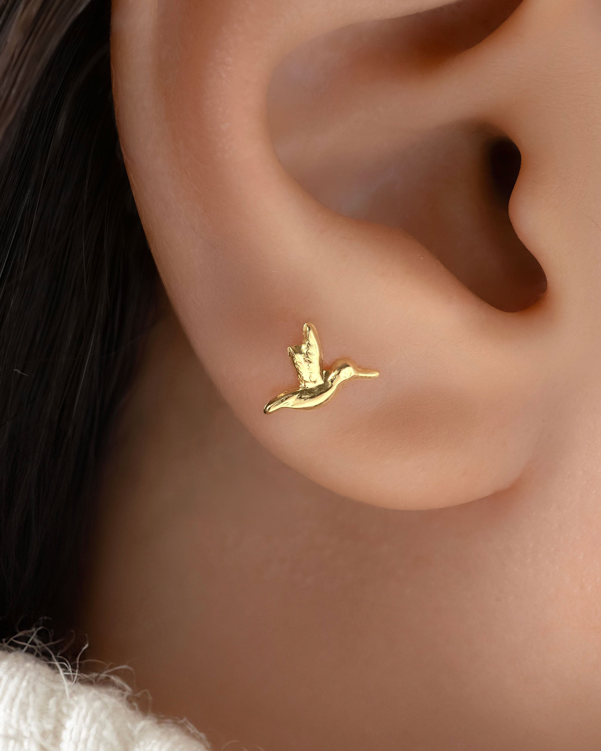 Topos Colibrí